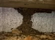 How Termite Barriers Work