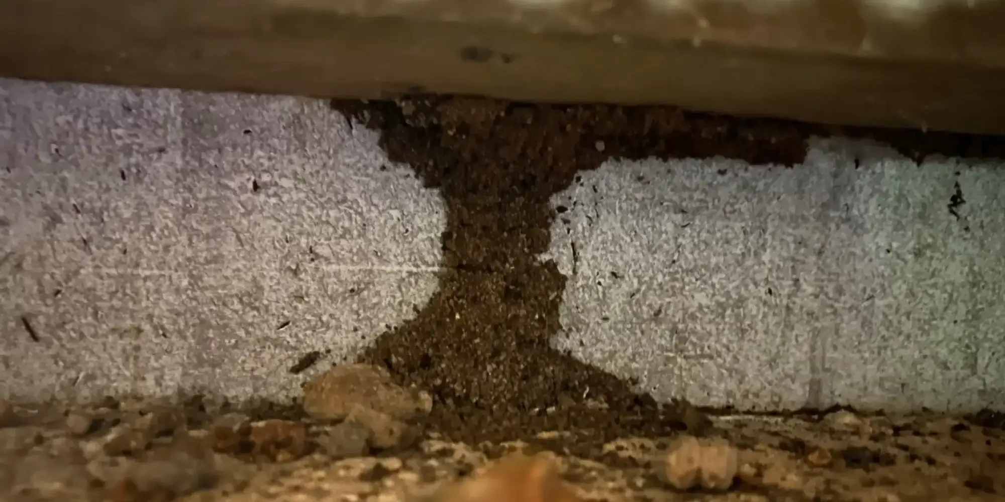 How Termite Barriers Work