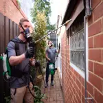 same day pest treatment perth