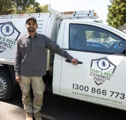 perth pest control